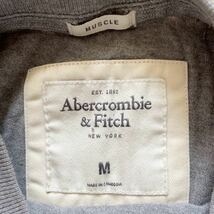 美品 アバクロンビー&フィッチ グレーTシャツ Abercrombie&Fitch サイズM_画像3