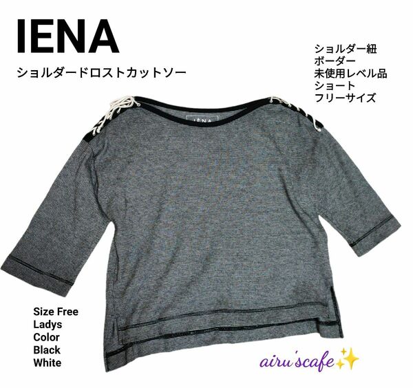 【IENA】 イエナ　ショルダードロストカットソー　ボーダー　サイズF 美品 