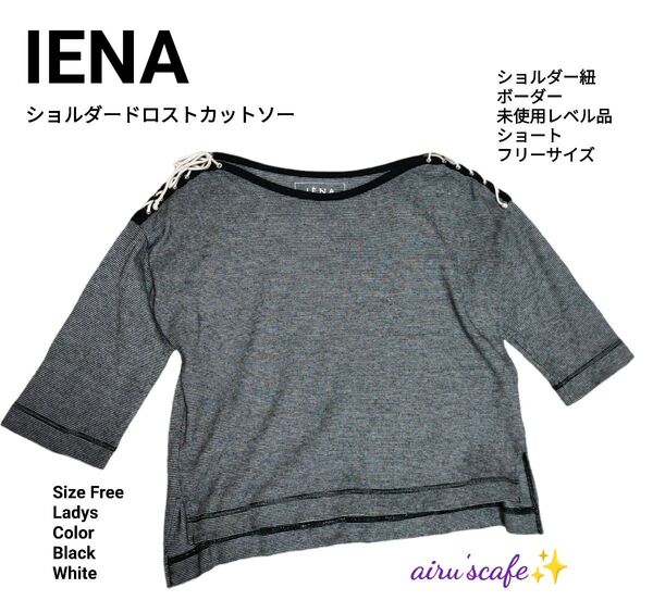 【IENA】 イエナ ショルダードロストカットソー ボーダー サイズF 美品