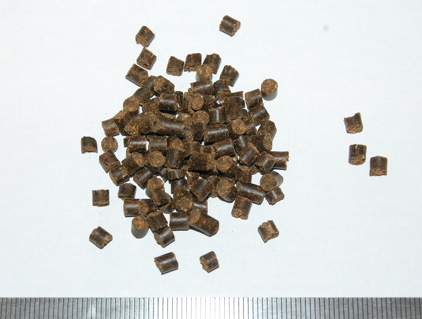  Tubifex. приманка перемещение растения иметь машина качество 100% 500g бесплатная доставка me Dakar. питание источник Corydoras выращивание 