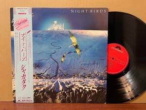 【即決】帯付き/シャカタク/ナイト・バーズ/Shakatak/Night Birds/Polydor 28MM 0186/OBI