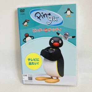 363.送料無料☆pingu ピングー DVD ビングーinザ・シティ テレビに出たい! ペンギン アニメ スイス D