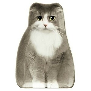リアルキャット豆皿♪　Oh my cats!　スコティッシュ　かわいい猫の小皿　スコティッシュフォールド