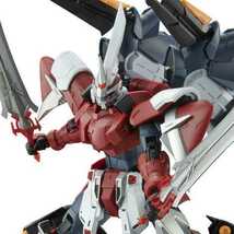 プレミアムバンダイ限定　機動戦士ガンダムSEED ECLIPSE ＭＧ 1/100 ジングラディエイター 内袋未開封、未組立_画像10