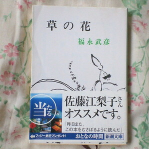 ★草の花 福永武彦 新潮文庫 文庫本★東京大学 東大 仏文科★佐藤江梨子 サトエリ 帯付き グラビア★送料180円の画像1