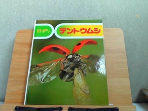 カラー自然シリーズ7　テントウムシ　ヤケ有 1996年12月 発行