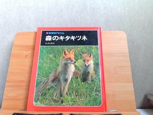 科学のアルバム　森のキタキツネ　背表紙ヤケ・シミ有 1996年5月 発行