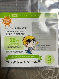 コレクション　シール用　ファイル　5枚入