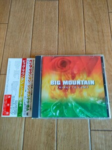 帯付き プロモ盤 廃盤 ビッグ・マウンテン シングス・トゥ・カム Big Mountain Things to Come