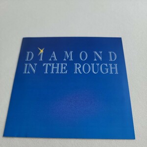 DIAMOND IN THE ROUGH 「SAME」 メロディアス・ハード系名盤 LONG ISLAND盤