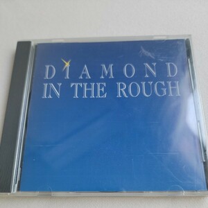 DIAMOND IN THE ROUGH 「SAME」 メロディアス・ハード系名盤 LONG ISLAND盤