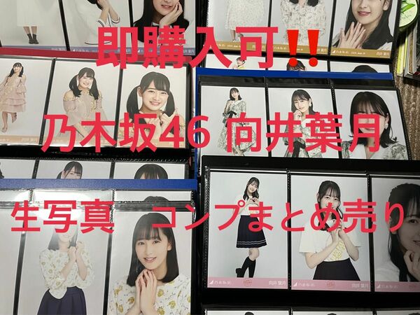 【即購入歓迎】乃木坂46 向井葉月生写真　まとめ売り