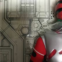 cooo【未使用】メディコムトイ タイムハウス リアルアクションヒーローズ RAH RAHM026 仮面ライダーゼクロス 仮面ライダーZX_画像8