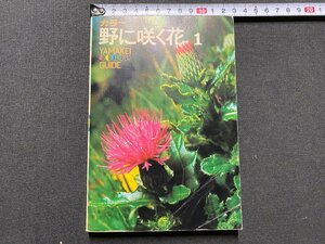 ｃ▼▼　カラー 野に咲く花 １　昭和43年初版　山渓カラーガイド　/　K53