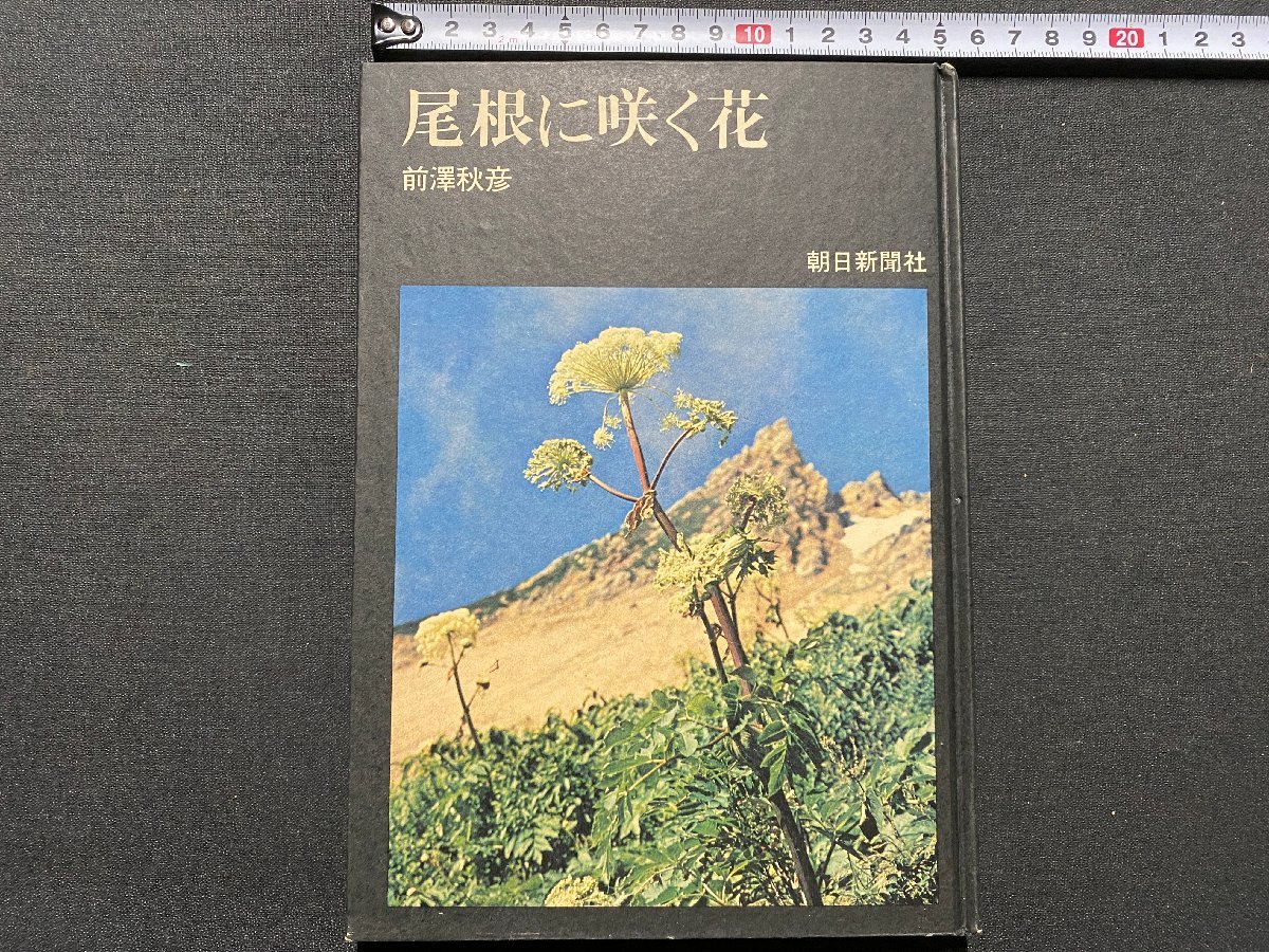 ｃ▼▼　尾根に咲く花　前澤秋彦　昭和45年　朝日新聞社　/　K53