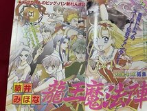 ｓ▼**　当時物　平成8年4月号　りぼん　付録なし　だまっていればの花愛ちゃん/長谷川潤　りりかSOS/池野恋　 他　 /K18脇_画像5