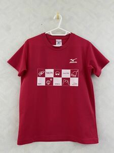 東京女子体育大学 Tシャツ サイズS MIZUNO TWCPE 東女体 ミズノ 国立市