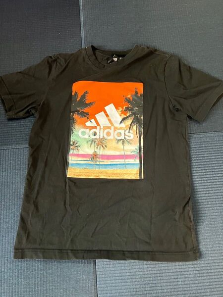 半袖Tシャツ adidas