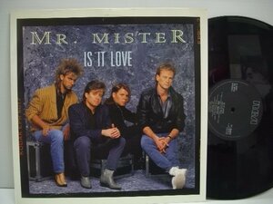 [12インチ] MR. MISTER ミスター・ミスター / IS IT LOVE イズ・イット・ラヴ EU盤 RCA PT 49862 ◇r50524