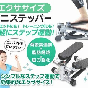 新品未使用 メーター付き ミニステッパー 耐荷重120kg 有酸素 昇降 運動 フィットネス トレーニング エクササイズ 健康器具 ダイエット器具の画像2