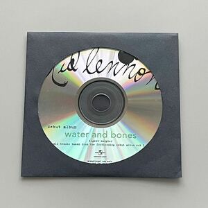 プロモーション用CD Ted Lennon water&bones デビューアルバム ジャックジョンソン サーフミュージック ウクレレ ジョンレノン