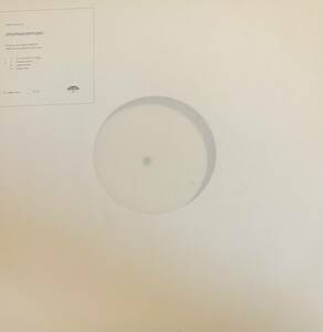 LP William Basinski Shortwavemusic William *basin ski Experimental ambient ambient DRONE