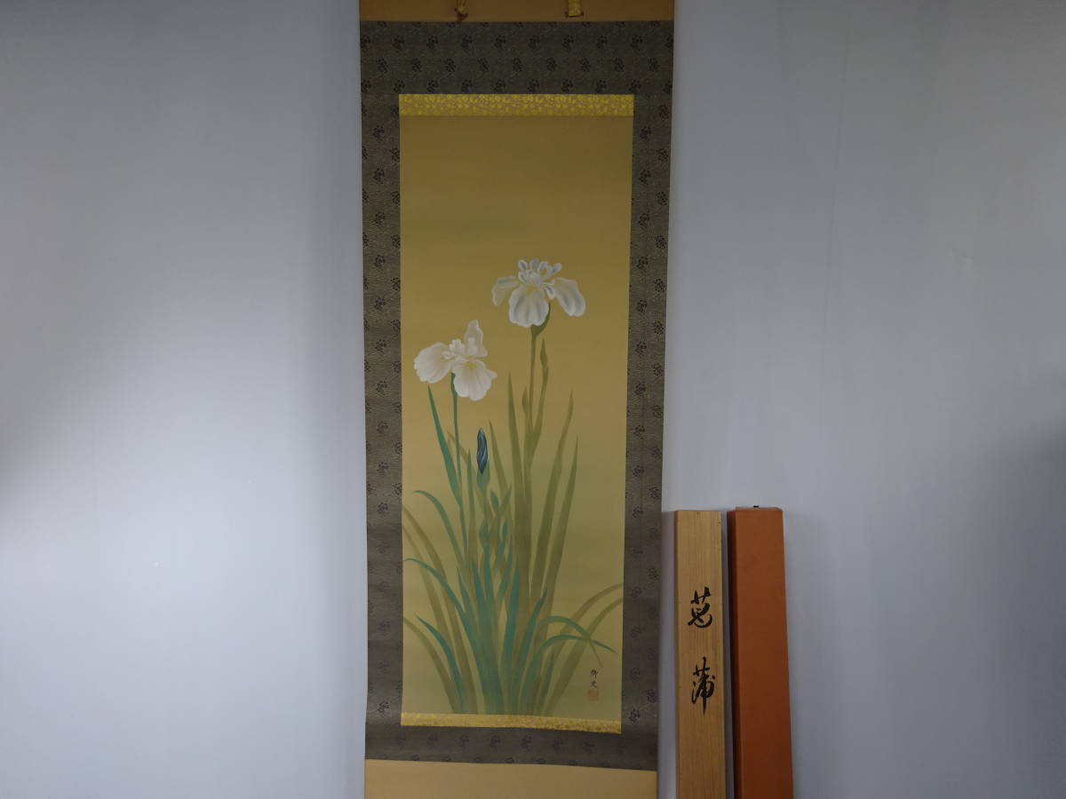 掛軸 藤沢郷史 尺五立 菖蒲 三枚裏 共箱 紫光会 寒浪会 静物画 植物 初夏 