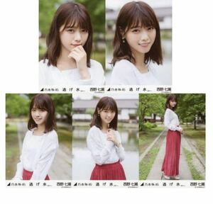 【5/31-7】乃木坂46 公式グッズ 生写真 5枚コンプ　 ヨリチュウヒキ　西野七瀬　逃げ水 MV選抜ver. 5種コンプ