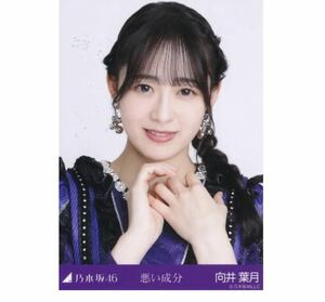 【BF-23】乃木坂46 公式グッズ 生写真 1枚　向井葉月　ヨリ　悪い成分　2023 限定　(ここにはないものカップリング