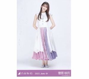 【F5】乃木坂46 公式グッズ 生写真 1枚　菅原咲月　ヒキ　10thBDライブ衣装　乃木坂46 2022.June-Ⅳ