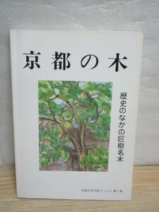 京都の木・歴史のなかの巨樹名木　巨木のなかの巨樹名木　昭和61年/樹冠投影図・地図　〔天然記念物植物調査団報告書〕