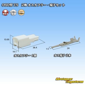 住友電装 060型 TS 2極 オスカプラー・端子セット