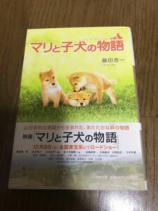 マリと子犬の物語 （小学館文庫　ふ１１－１） 藤田杏一／著