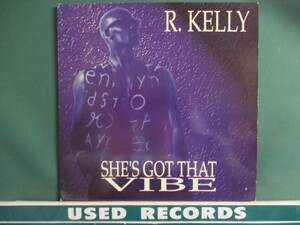 R.Kelly ： She's Got That Vibe 12' c/w Summer Bunnies Loverman's Picnic Mix 1 (( R. Kelly / 落札5点で送料無料