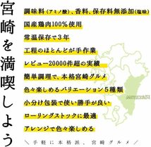 塩味 レトルト おかず おつまみ 宮崎名物 焼き鳥 鶏の炭火焼 100g×10パック 鳥の炭火焼 炭火焼 鳥の炭火焼き 焼鳥 炭火_画像2