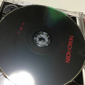 孤独を繋いで (初回限定盤) (DVD付) CD THE BACK HORN 盤面良好の画像5