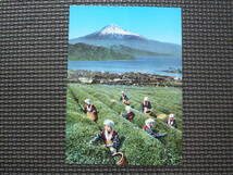 県立公園　日本平の絶景　ポストカード 絵葉書 8枚セット 新品、未使用品_画像5
