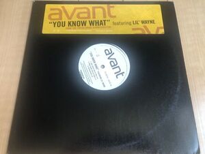 ◆Avant/YOU KNOW WHAT Feat. Lil' Wayne【2005/USプロモ盤/12inch】