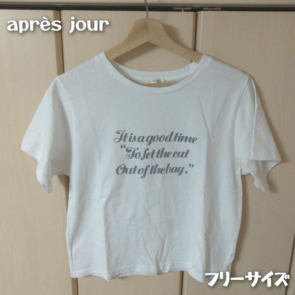 aprs jour 半袖 Tシャツ(フリーサイズ)