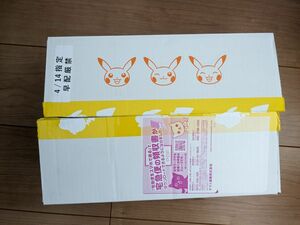 ポケモンカード スノーハザード＆クレイバースト ポケモンセンター ジムセット BOX 新品未開封 シュリンク付 ナンジャモセット