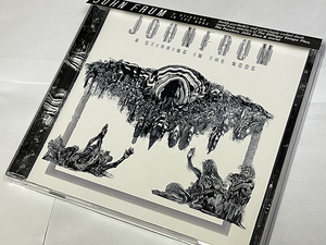 A STIRRING IN THE NOOS / JOHN FRUM (THE DILLINGER ESCAPE PLAN) 輸入盤 新品同様