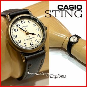 稼働中☆粋♪ｸｵｰﾂ☆ｺﾞｰﾙﾄﾞXﾌﾞﾗｳﾝ!【CASIO STING】送料込