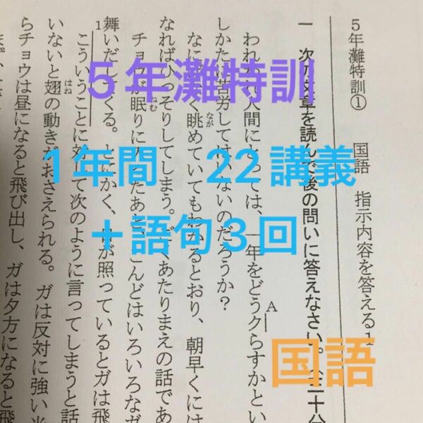 灘中受験　馬渕教室5N 灘特訓国語　記述　22講義（1年間）語句問題3回