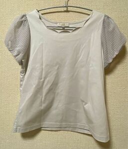 PROPORTION BODY DRESSING プロポーションボディドレッシング　半袖カットソー　スカラップ　グレー