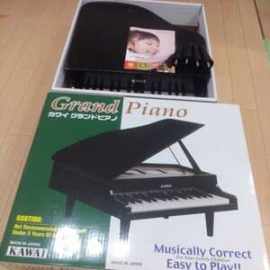  Kawai grand piano junk treatment 