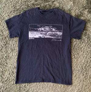 WILDTHINGS Tシャツ　Ｍsize相当　 USED　ブラック