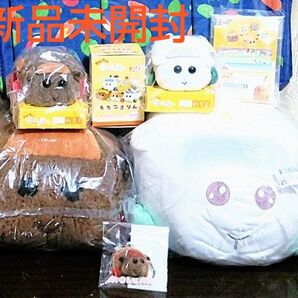 PUI PUIモルカー シロモリュック&テディ ぴたれすと他 まとめ売り 最終価格 新品未開封7点 おまけ付き