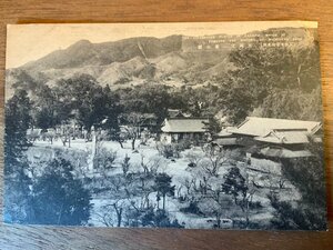 FF-3628 ■送料無料■ 福岡県 筑前 太宰府 天満宮 東公園 鳥居 神社 寺 宗教 建築物 建物 九州 レトロ ●破れ有 絵葉書 写真 古写真/くNAら