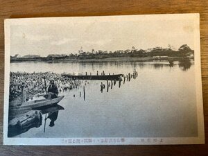 FF-3640 ■送料無料■ 群馬県 上州館林 善長寺渡船場より躑躅ヶ岡公園 舟 人 風景 景色 神社 宗教 戦前 レトロ 絵葉書 写真 古写真/くNAら