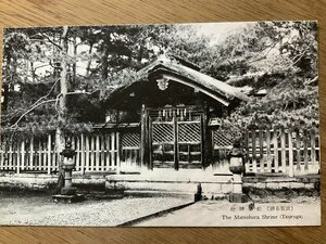 FF-4258 ■送料無料■ 福井県 敦賀 松原神社 宗教 寺 神社 建物 灯籠 屋根 建築物 景色 風景 戦前 絵葉書 エンタイア 写真 古写真/くNAら